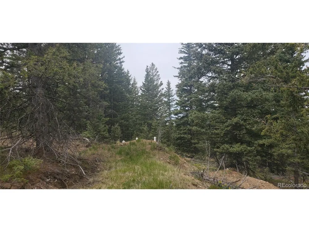 6601 Heckman Road San Luis, CO 81152