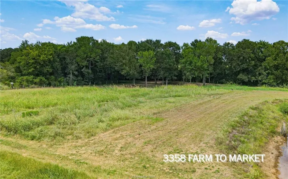 FM 166 (+/-54 acres) Caldwell, TX 77836