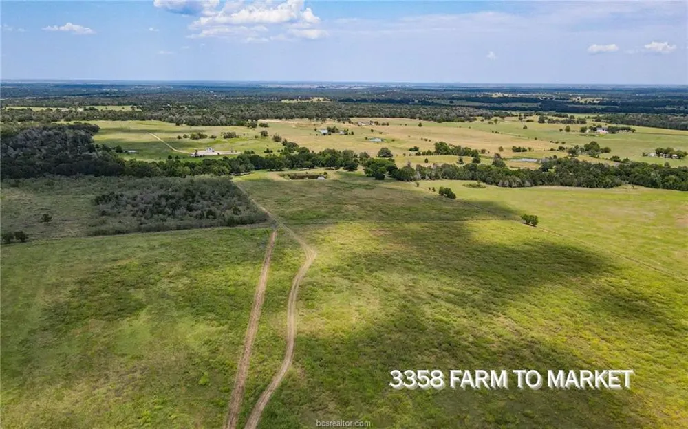 FM 166 (+/-54 acres) Caldwell, TX 77836