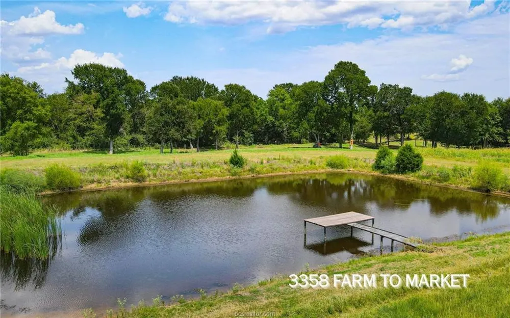 FM 166 (+/-54 acres) Caldwell, TX 77836