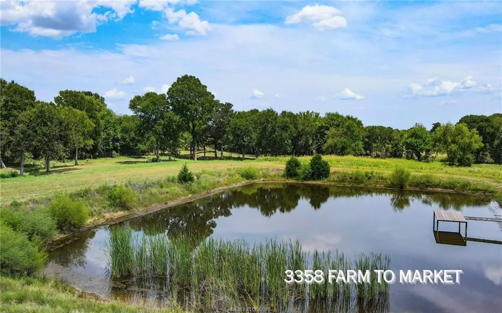 FM 166 (+/-54 acres) Caldwell, TX 77836