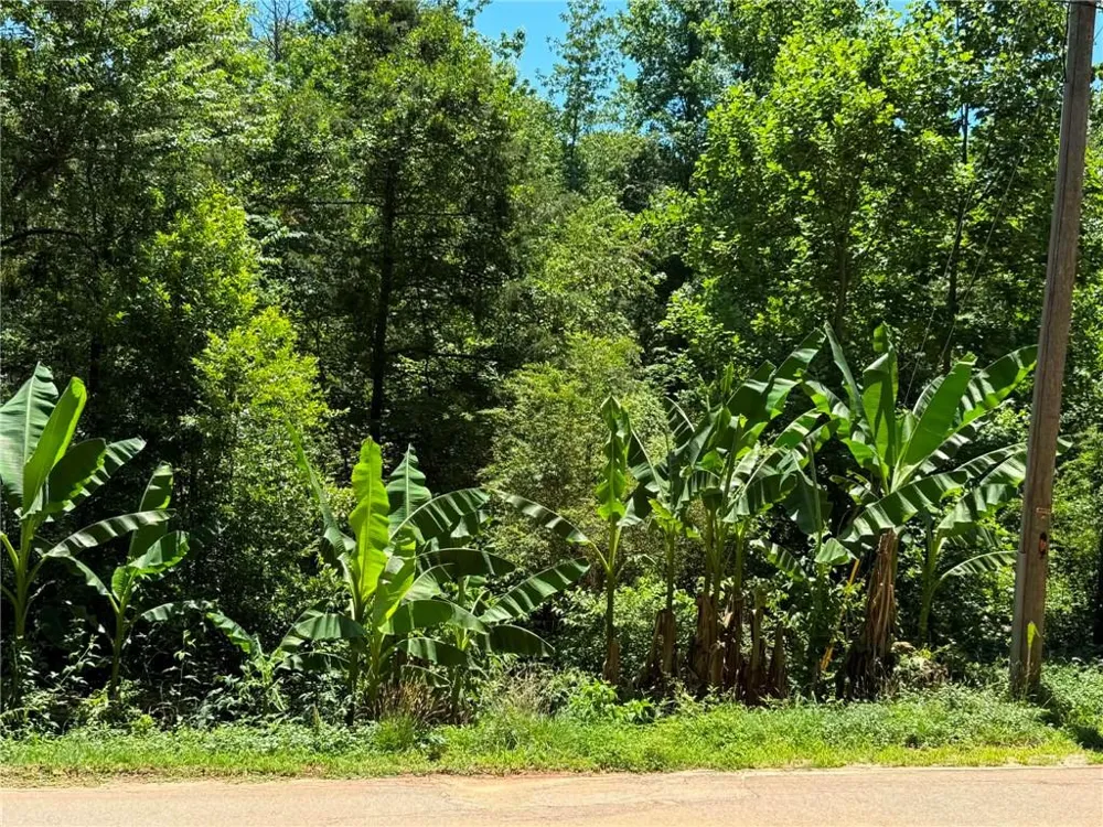 0 Lakeshore Road Martin, GA 30557
