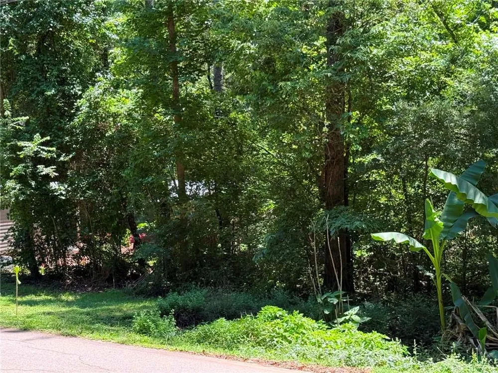 0 Lakeshore Road Martin, GA 30557