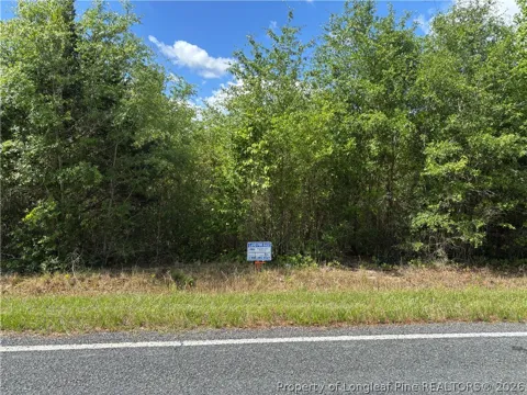 Johnson (Lot L) Road