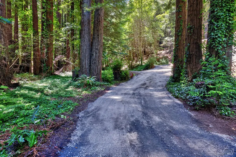 1585 Cazadero Highway Cazadero, CA 95421