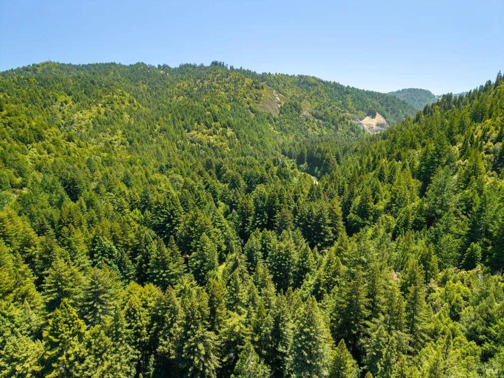 1585 Cazadero Highway Cazadero, CA 95421