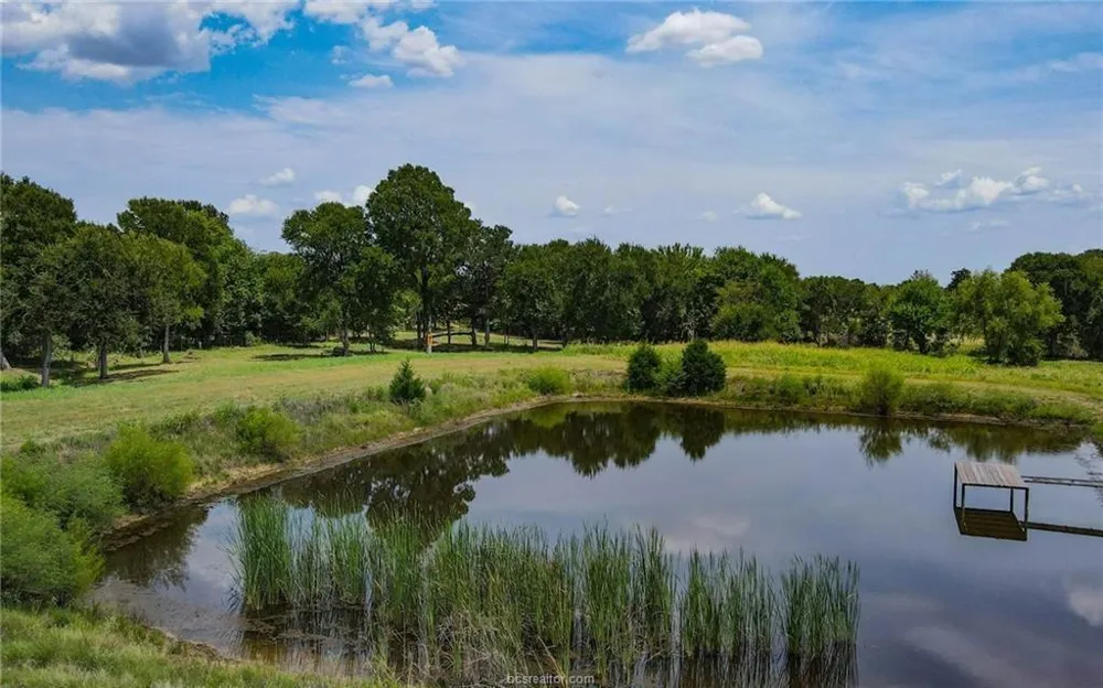 Fm 166 - 54 Acres Caldwell, TX 77836