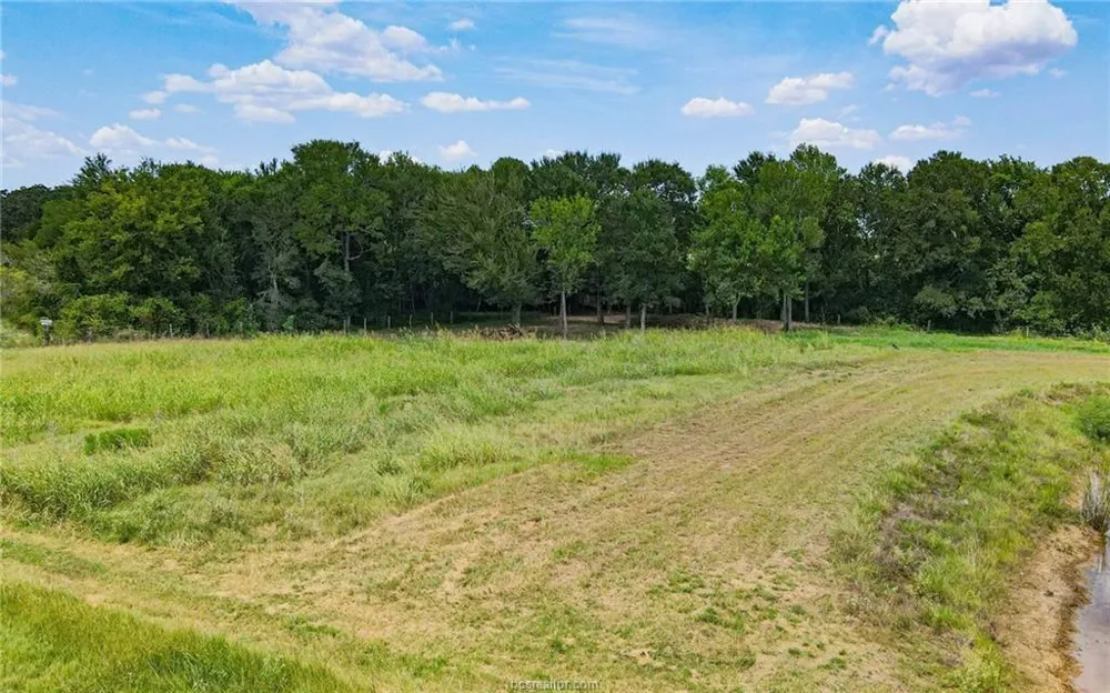 Fm 166 - 54 Acres Caldwell, TX 77836