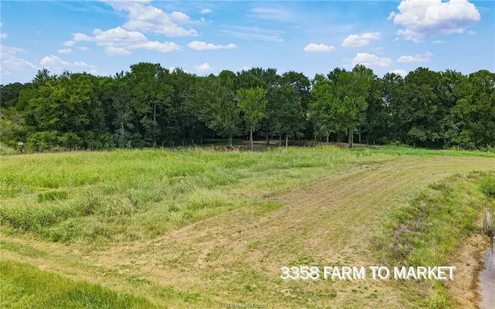 Fm 166 - 54 Acres Caldwell, TX 77836