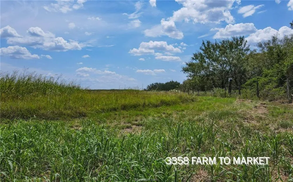 Fm 166 - 54 Acres Caldwell, TX 77836