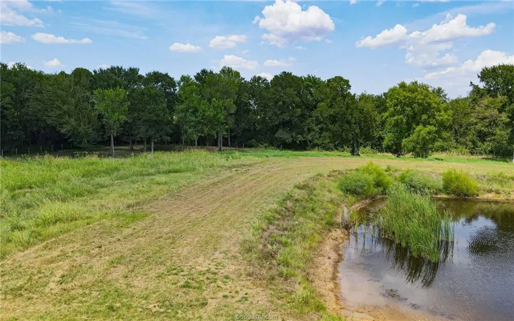 Fm 166 - 54 Acres Caldwell, TX 77836