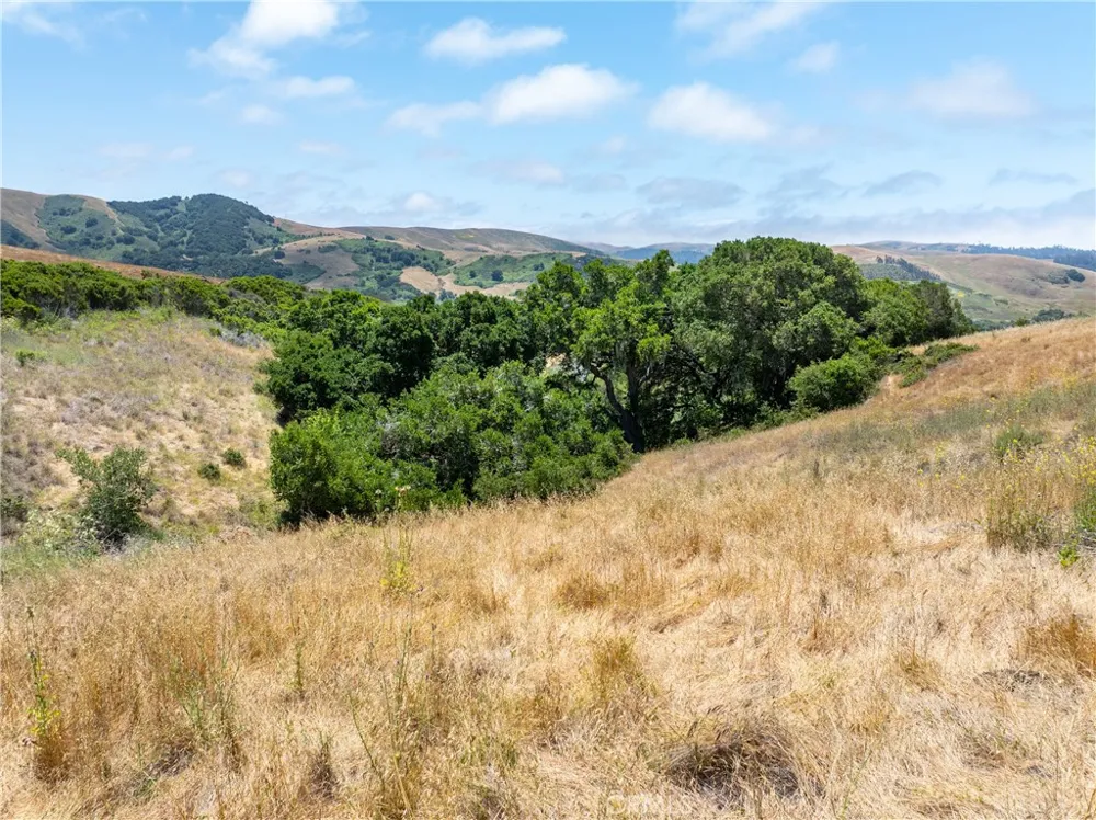4344 Dos Cruces Lane Cambria, CA 93428