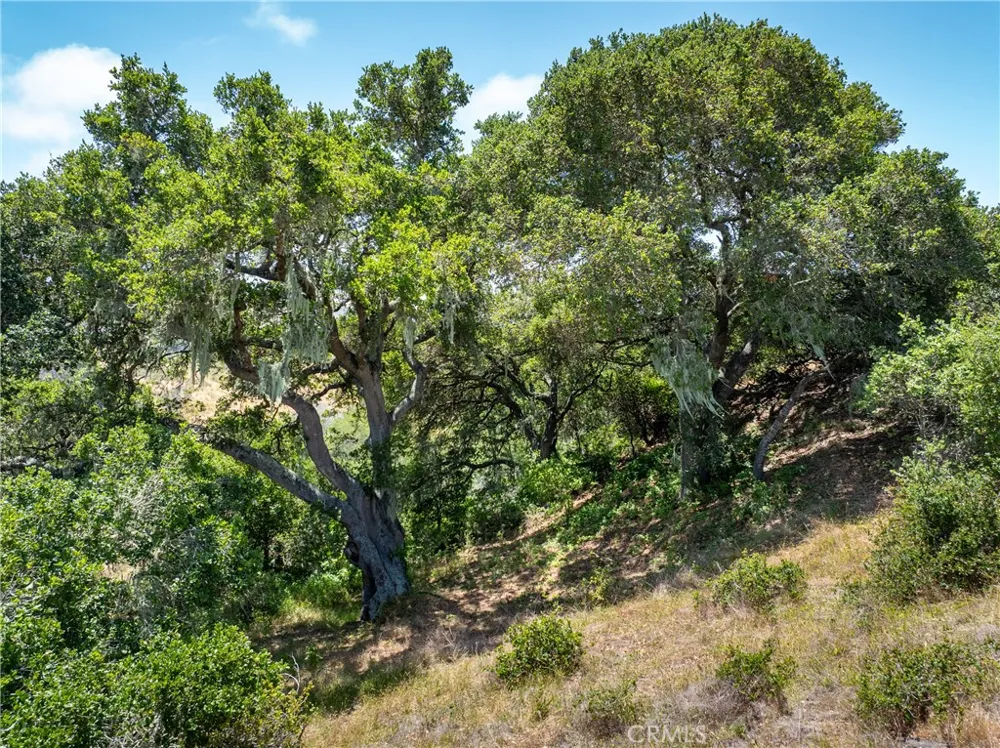4344 Dos Cruces Lane Cambria, CA 93428