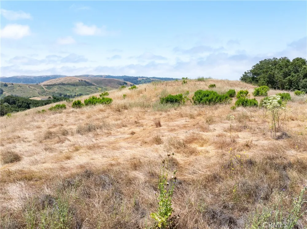 4344 Dos Cruces Lane Cambria, CA 93428