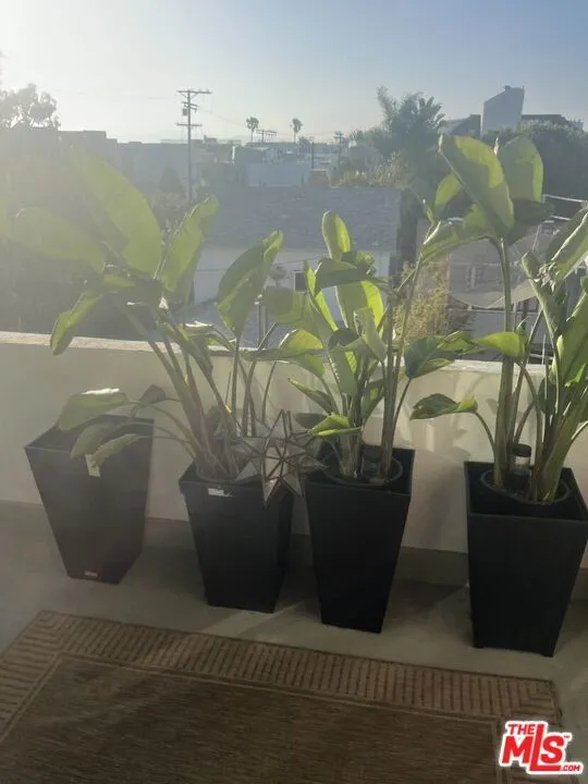 21 Via Marina #7 Marina del Rey, CA 90292