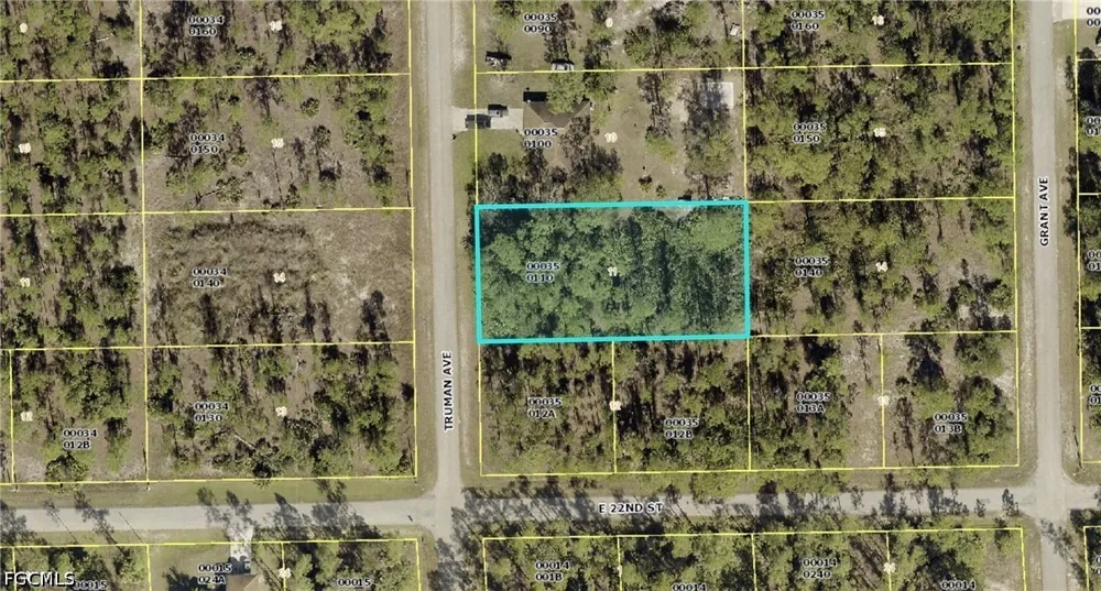 Truman Avenue Alva, FL 33920