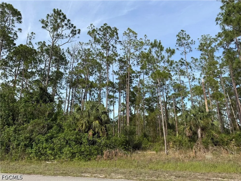 Truman Avenue Alva, FL 33920