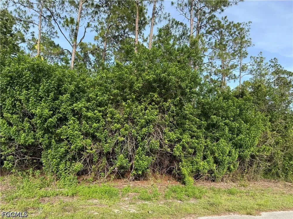 Truman Avenue Alva, FL 33920