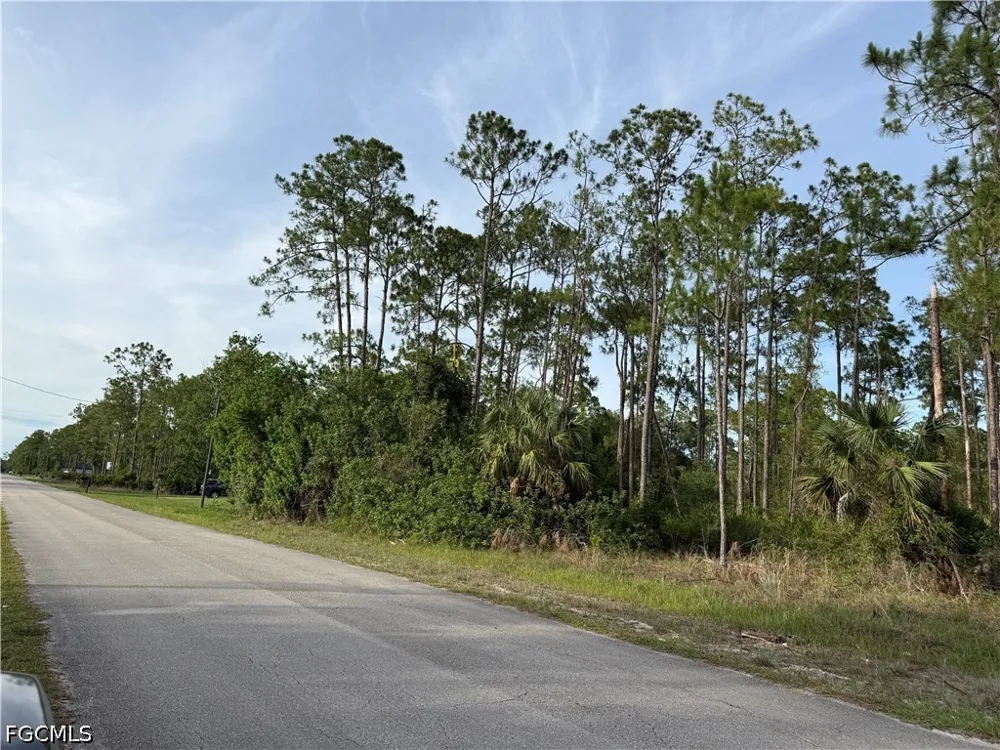 Truman Avenue Alva, FL 33920
