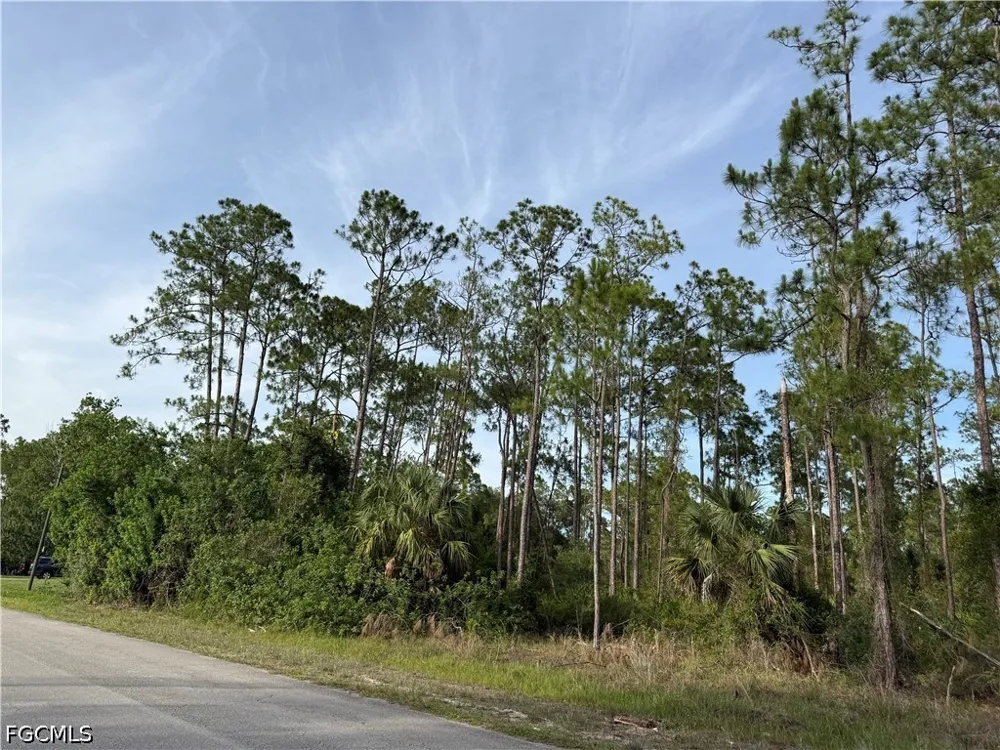 Truman Avenue Alva, FL 33920