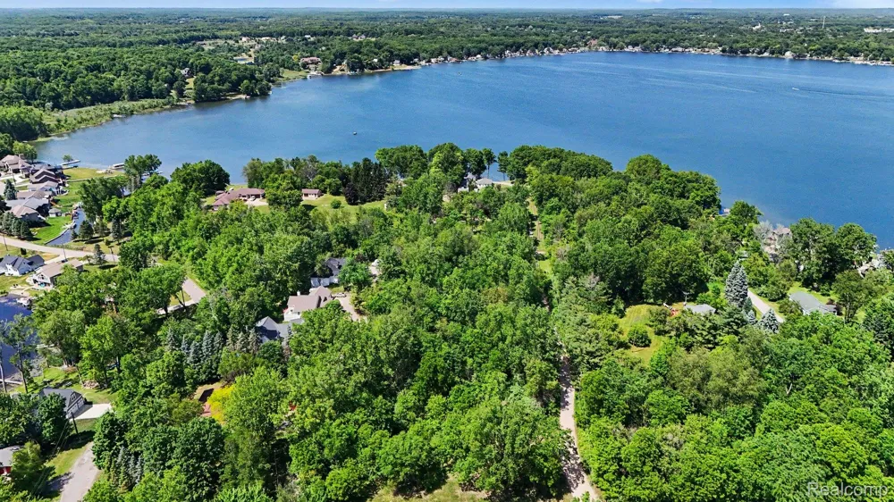 3931 S Shore Drive Elba Township, MI 48446