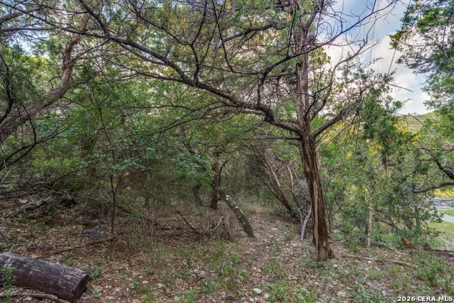 19932 SCENIC LOOP RD Helotes, TX 78023