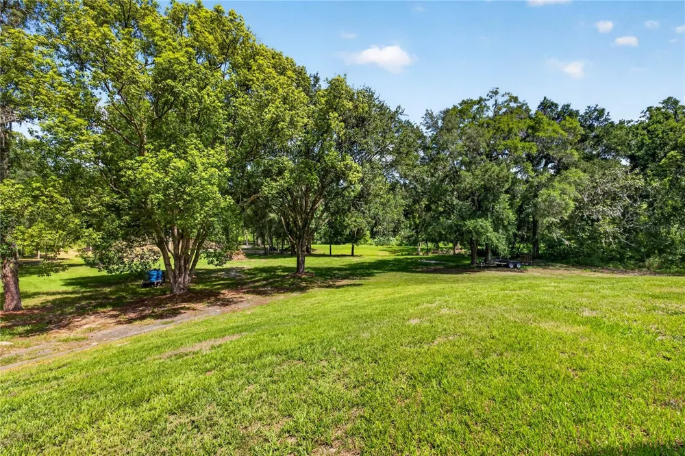 17265 MEADOW BLUFF VIEW Dade City, FL 33523