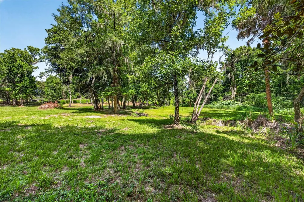 17265 MEADOW BLUFF VIEW Dade City, FL 33523