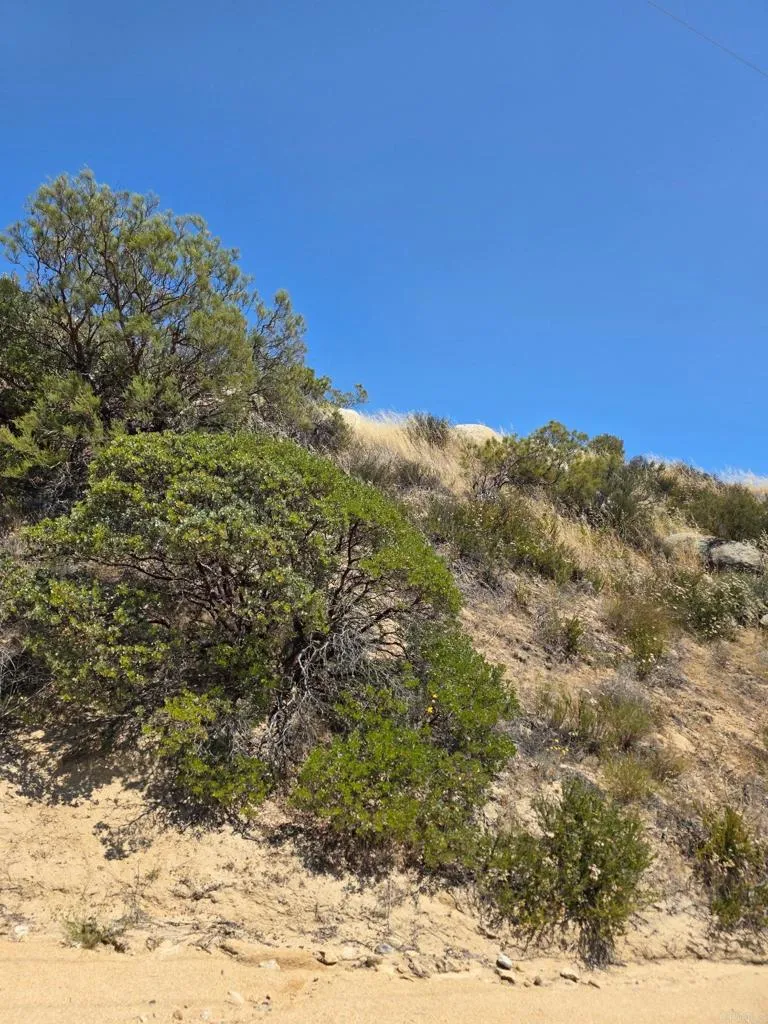 789 Crazy Horse Canyon Drive Aguanga, CA 92536