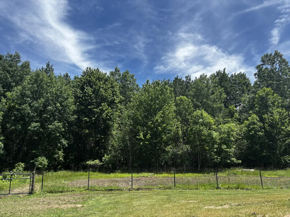 1281 64th Street Ganges Township, MI 49408