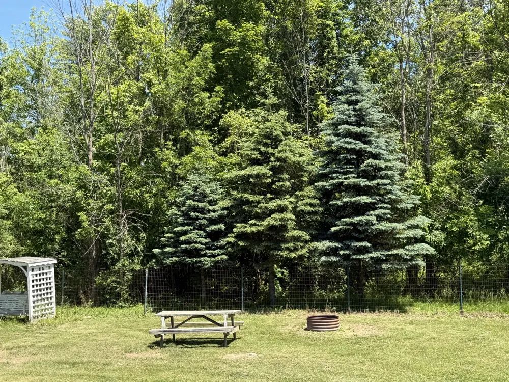 1281 64th Street Ganges Township, MI 49408