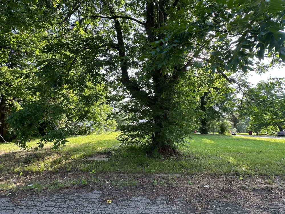 300 W Jackson Street Clarksville, TX 75426