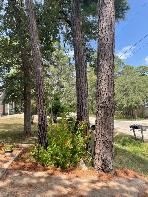 110 Kanaio Drive #B Bastrop, TX 78602