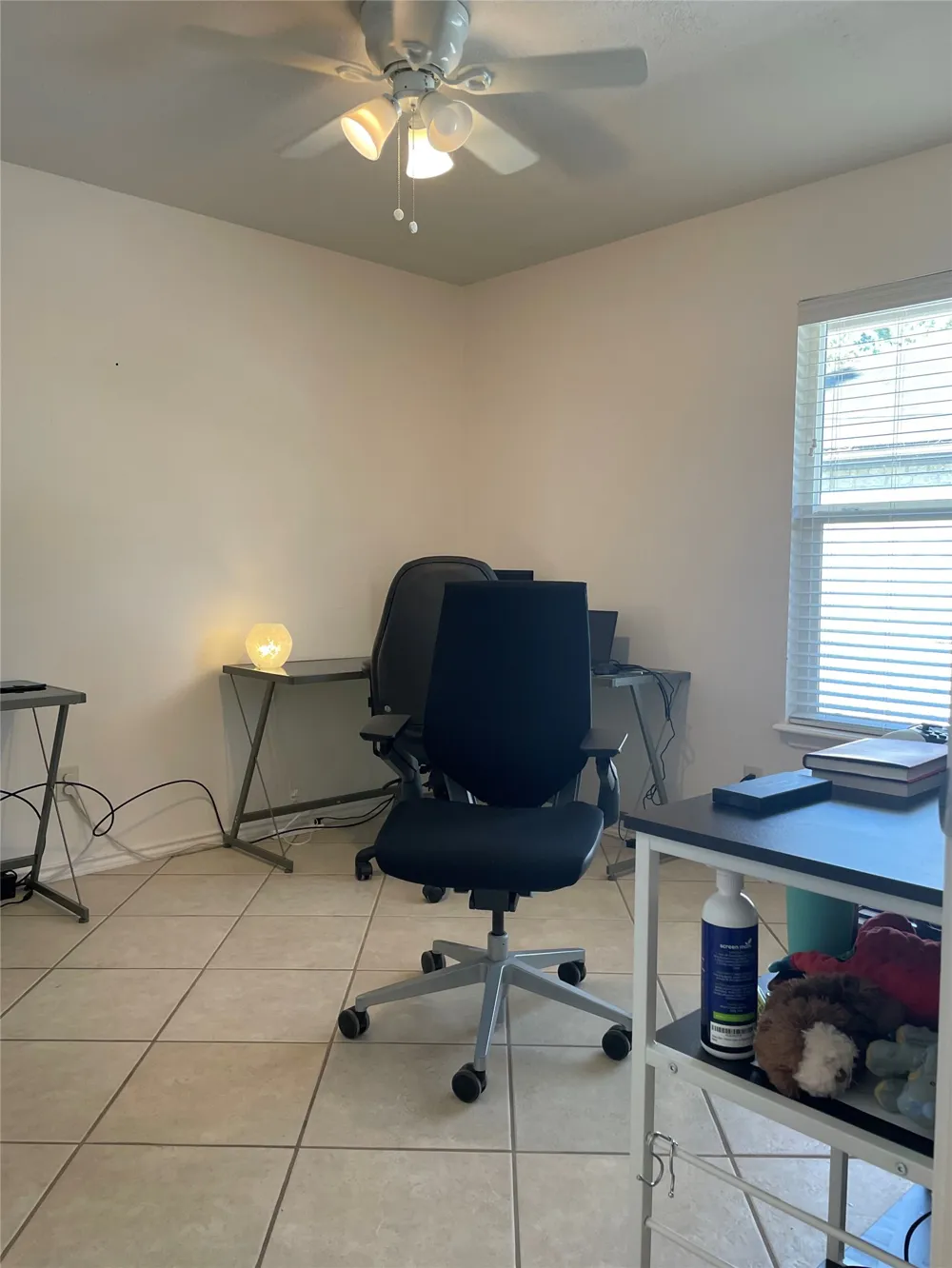 110 Kanaio Drive #B Bastrop, TX 78602