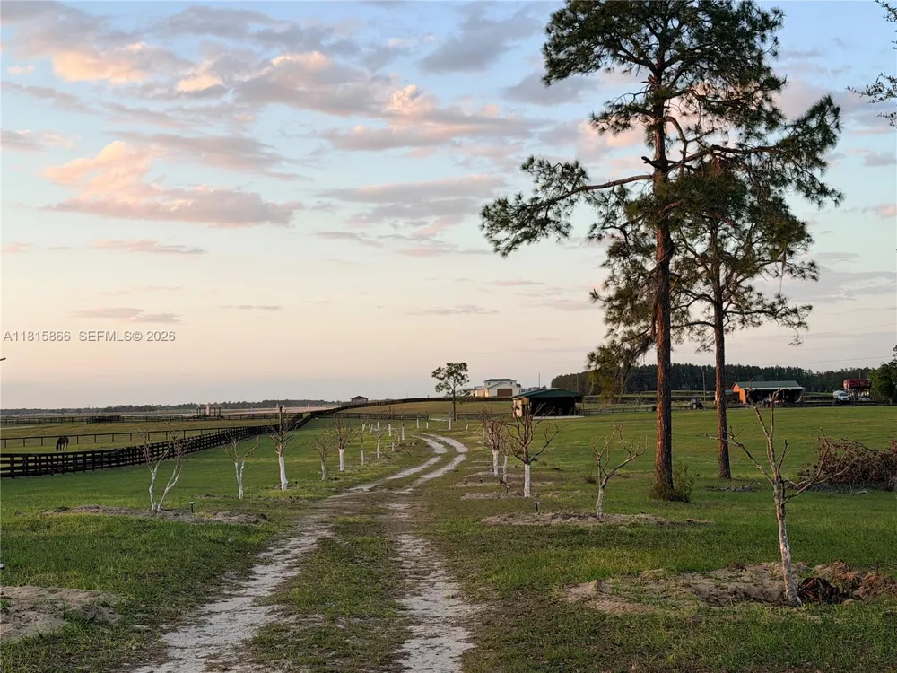 12451 NE 20th St Other City - In The State Of Florida, FL 32696