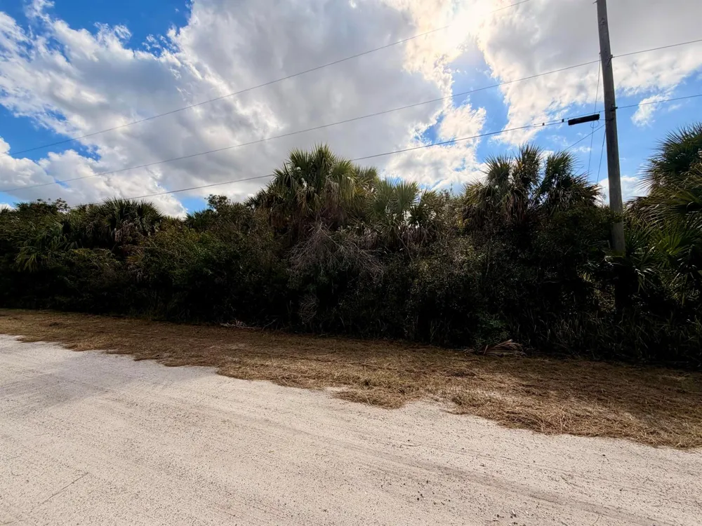 886 Robin Street SW Palm Bay, FL 32908