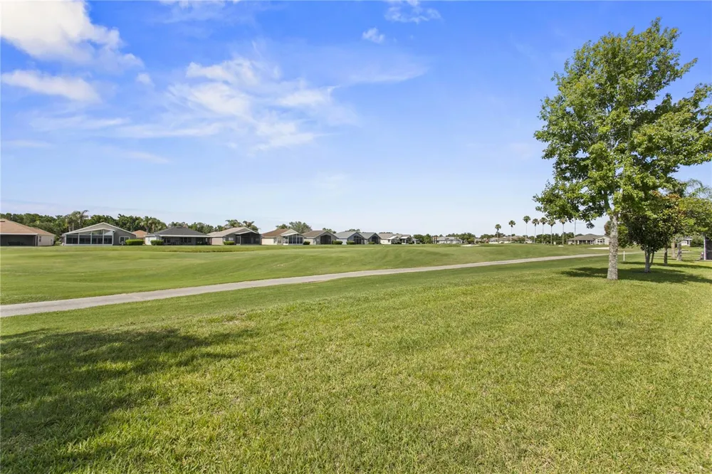 29255 GRASS BUNKER DRIVE San Antonio, FL 33576