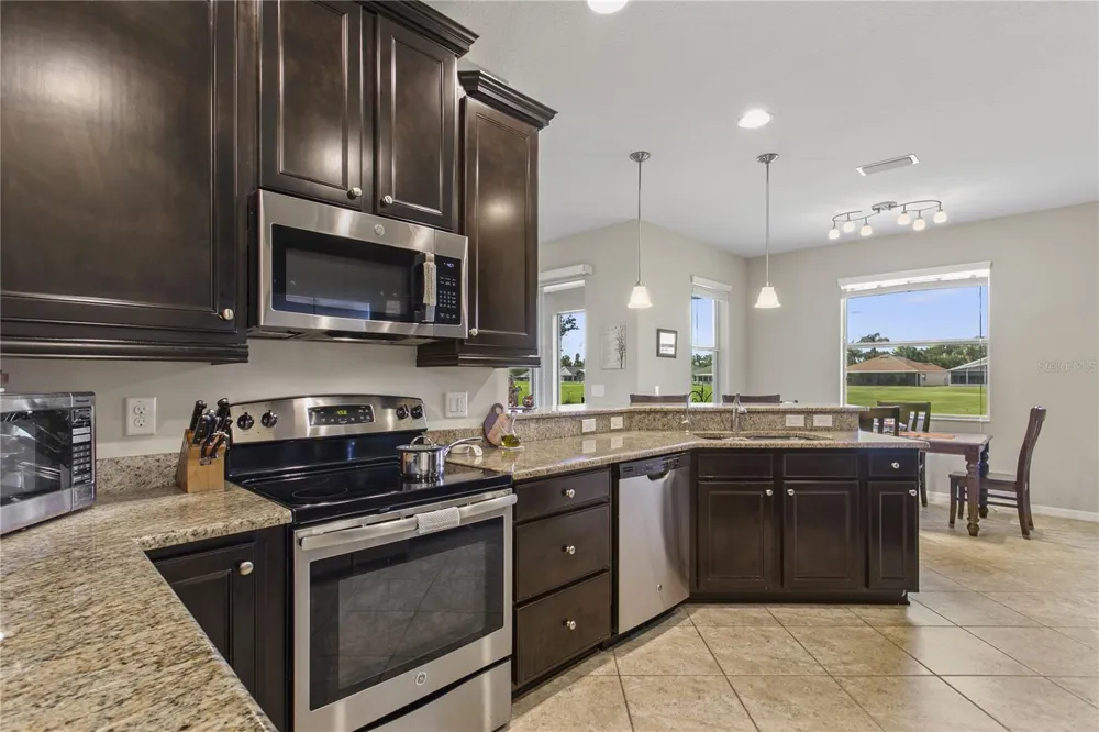 29255 GRASS BUNKER DRIVE San Antonio, FL 33576