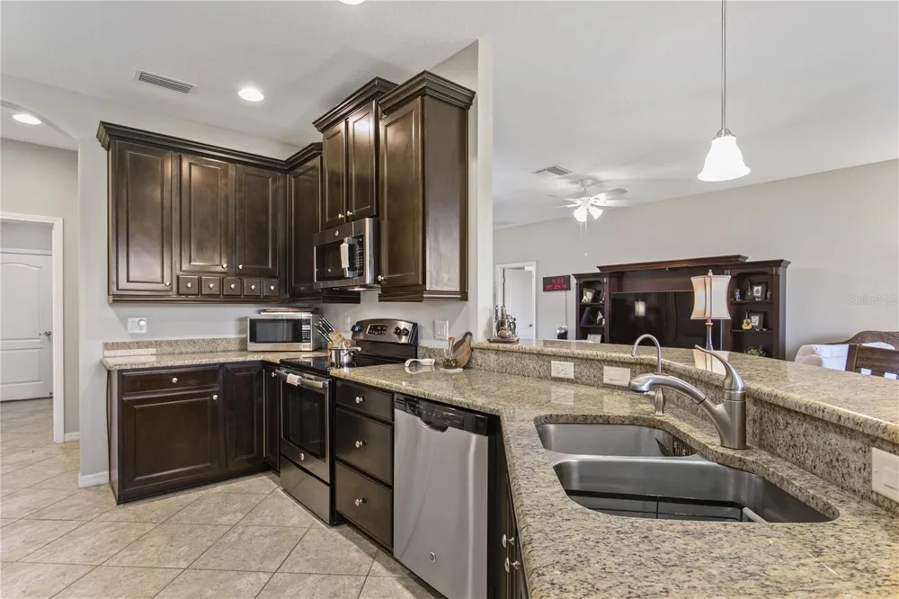 29255 GRASS BUNKER DRIVE San Antonio, FL 33576