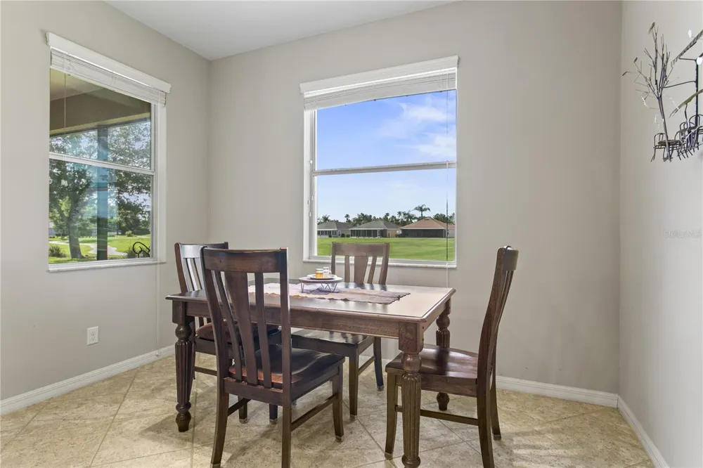 29255 GRASS BUNKER DRIVE San Antonio, FL 33576