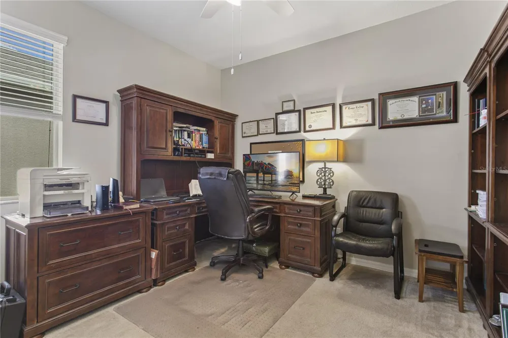 29255 GRASS BUNKER DRIVE San Antonio, FL 33576