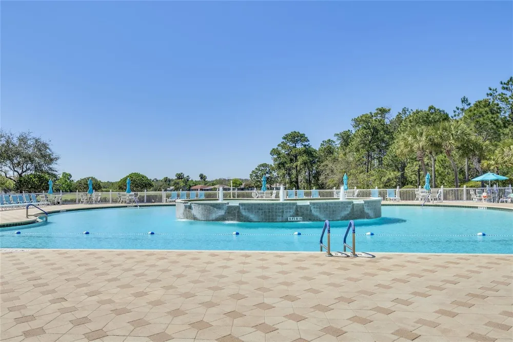 29255 GRASS BUNKER DRIVE San Antonio, FL 33576