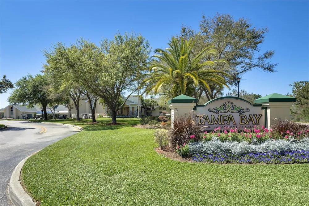 29255 GRASS BUNKER DRIVE San Antonio, FL 33576