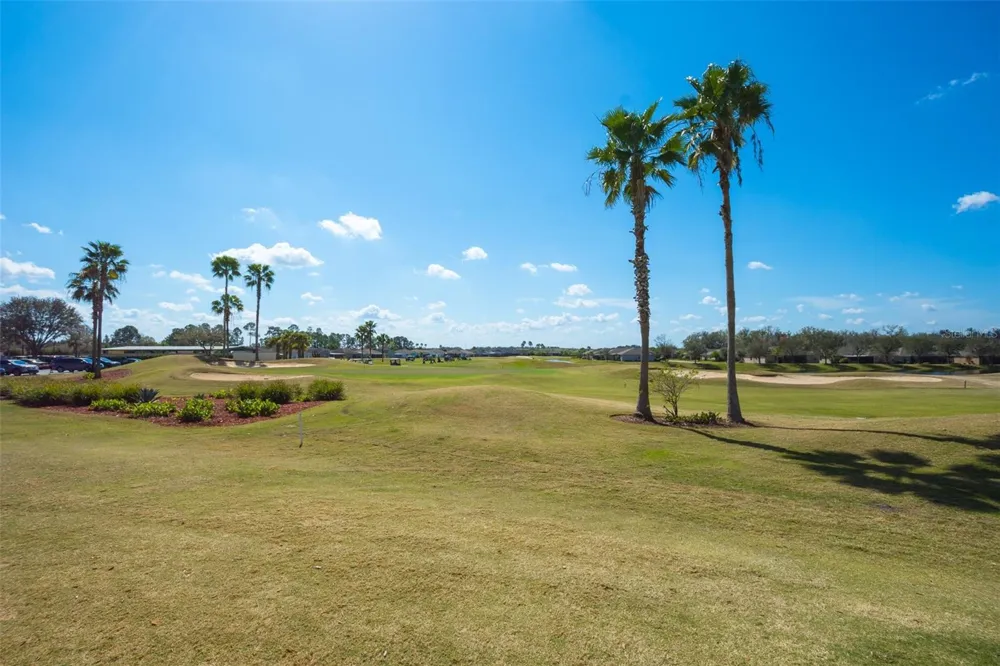 29255 GRASS BUNKER DRIVE San Antonio, FL 33576