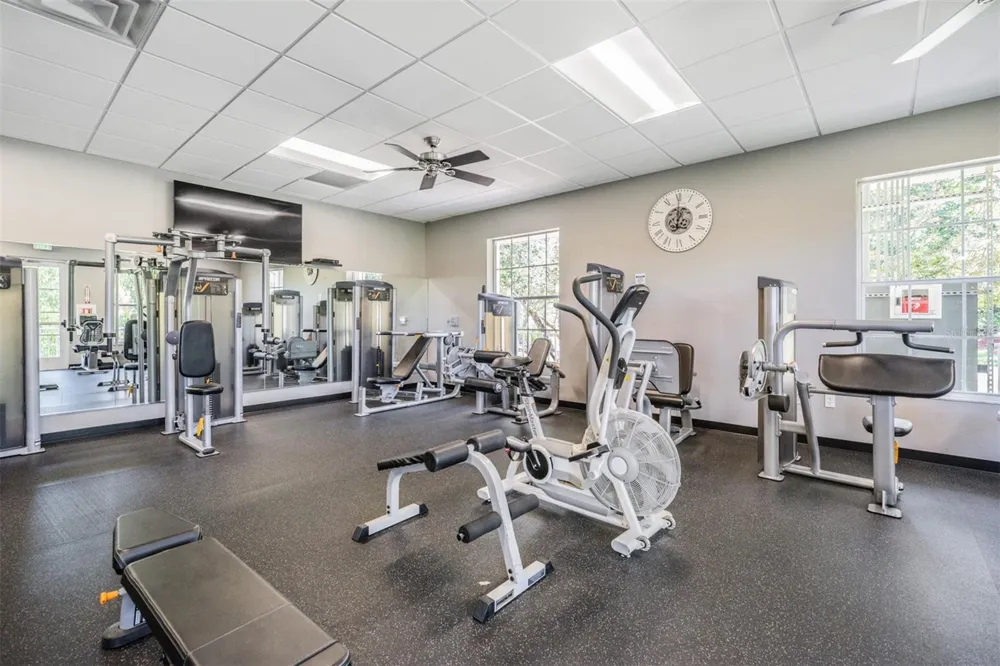 29255 GRASS BUNKER DRIVE San Antonio, FL 33576