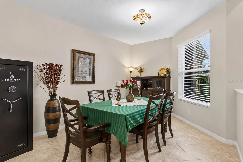 29255 GRASS BUNKER DRIVE San Antonio, FL 33576