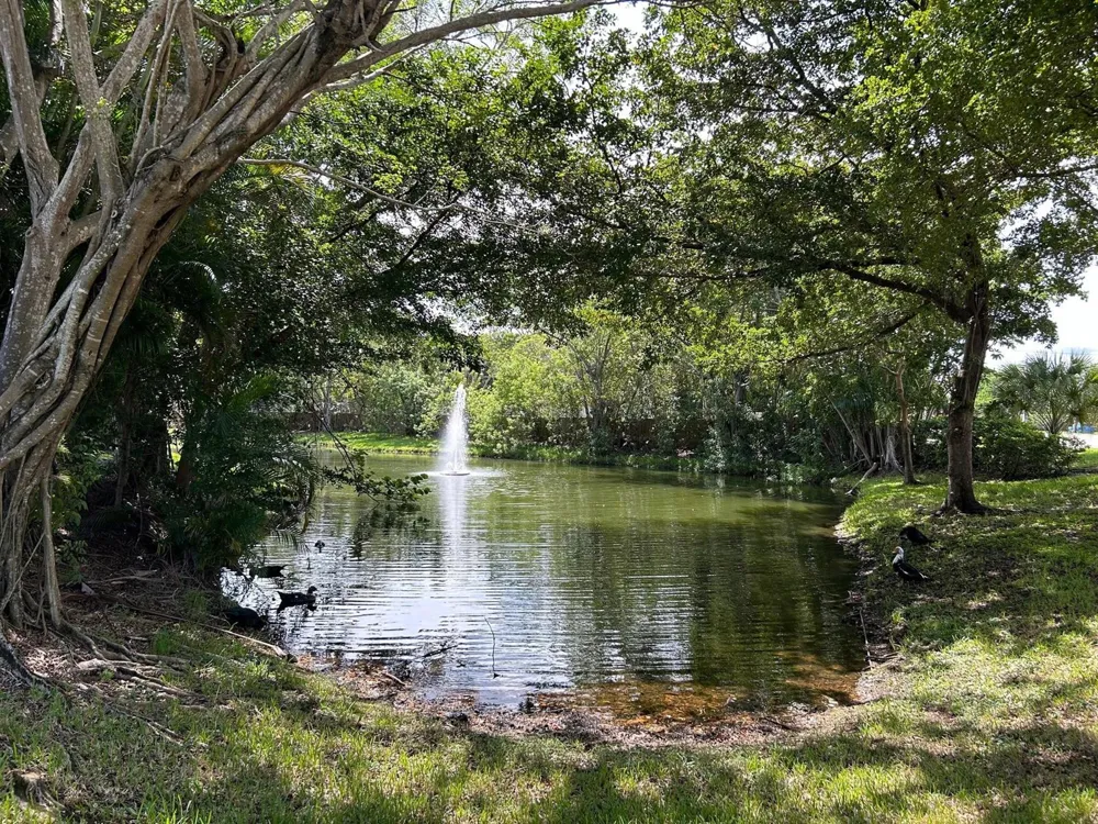 9999 Summerbreeze Drive #105 Sunrise, FL 33322