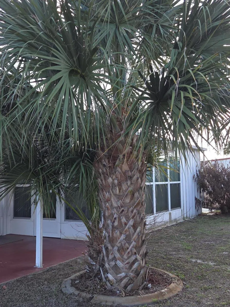 2915 Roger Street Sebring, FL 33872