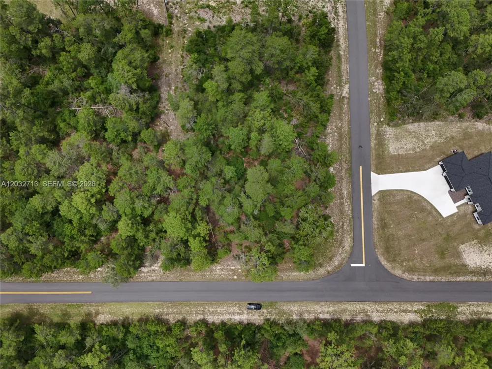 SW 40th Ct ocala, FL 34473