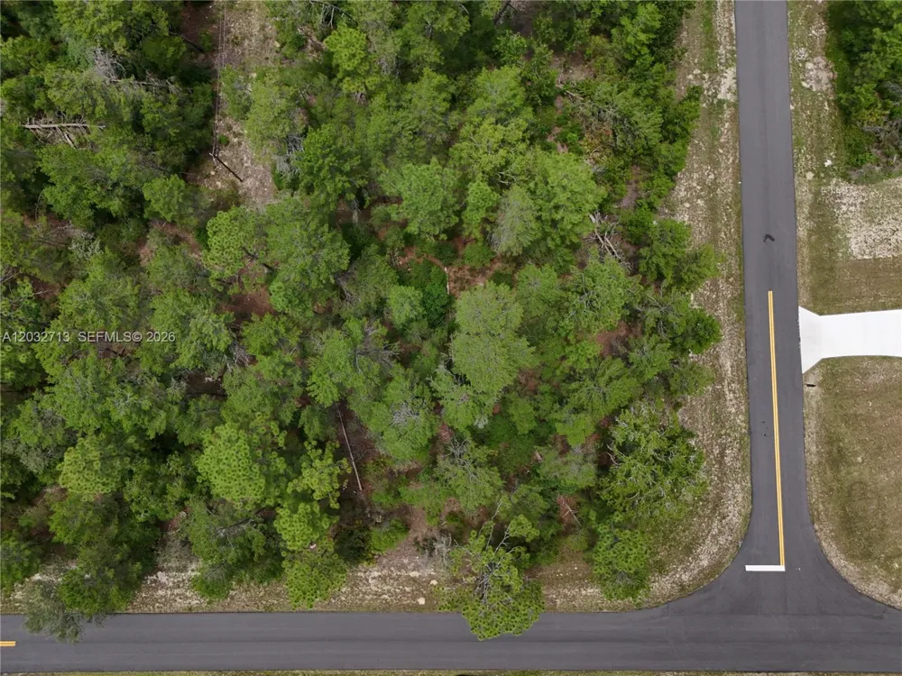 SW 40th Ct ocala, FL 34473